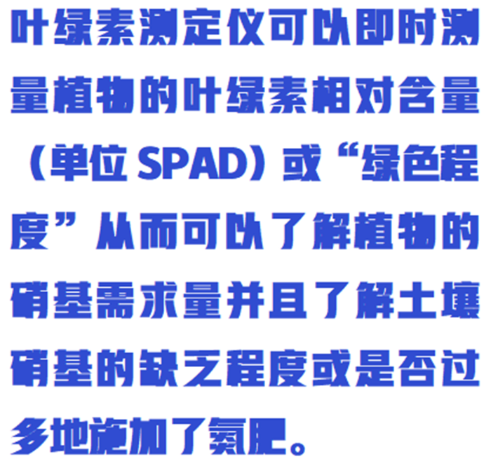 金年会-金年会体育-金年会体育下载app
金年会-金年会体育-金年会体育下载app