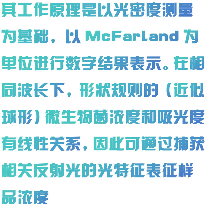 金年会-金年会体育-金年会体育下载app
金年会-金年会体育-金年会体育下载app