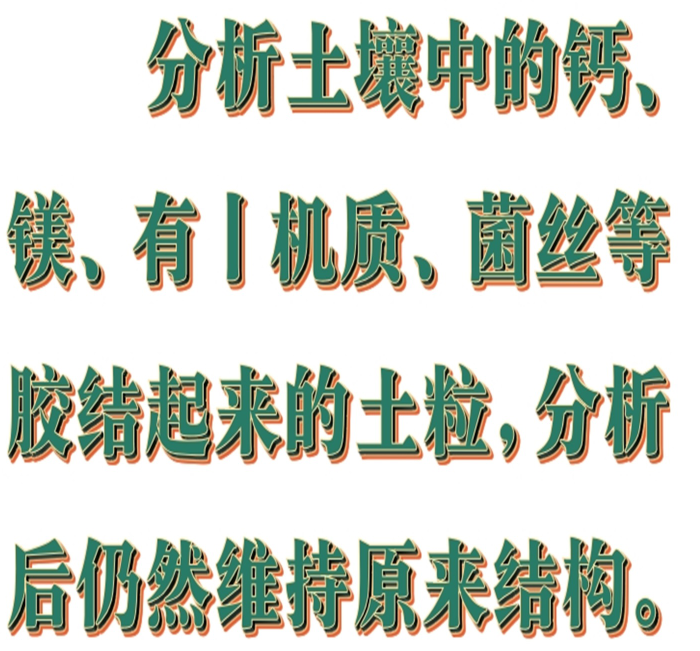 金年会-金年会体育-金年会体育下载app
金年会-金年会体育-金年会体育下载app