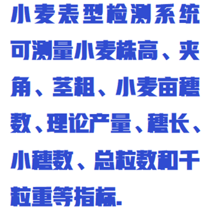金年会-金年会体育-金年会体育下载app
金年会-金年会体育-金年会体育下载app