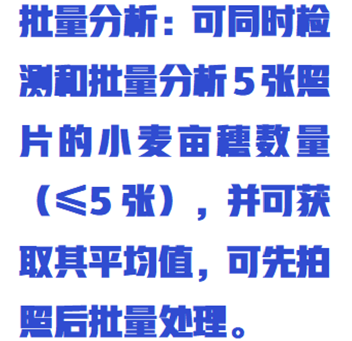 金年会-金年会体育-金年会体育下载app
金年会-金年会体育-金年会体育下载app