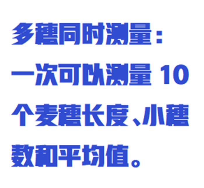 金年会-金年会体育-金年会体育下载app
金年会-金年会体育-金年会体育下载app