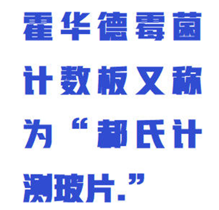 金年会-金年会体育-金年会体育下载app
