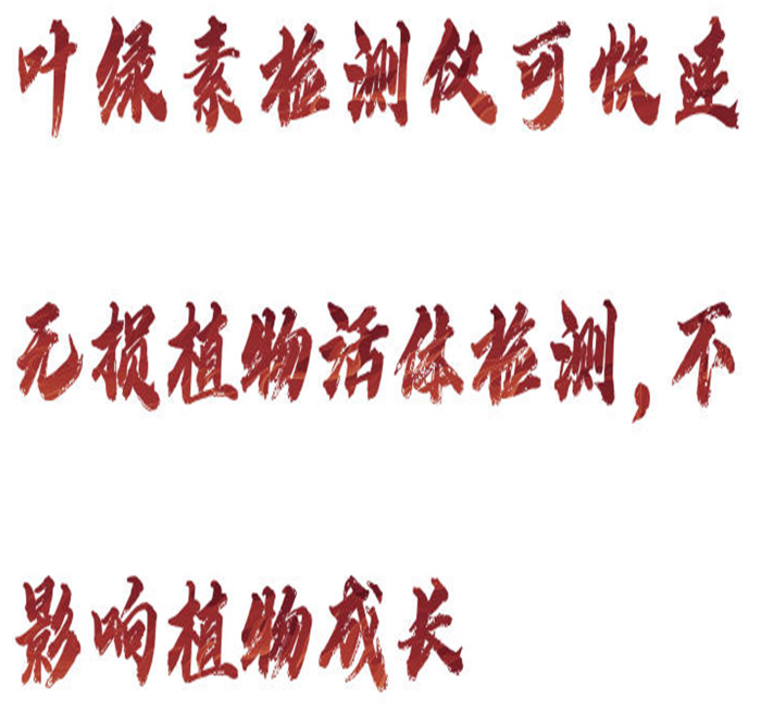 金年会-金年会体育-金年会体育下载app
金年会-金年会体育-金年会体育下载app