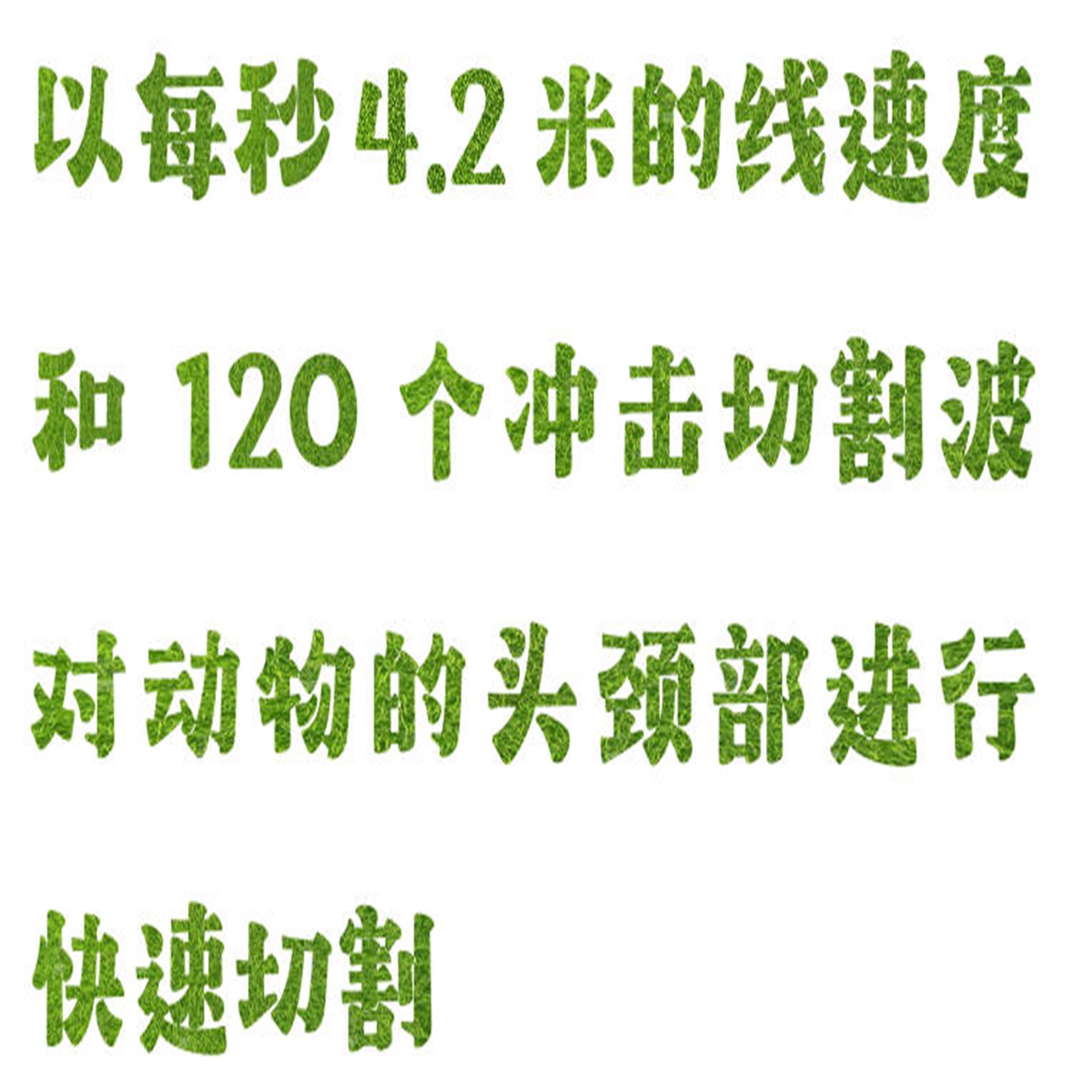 金年会-金年会体育-金年会体育下载app
金年会-金年会体育-金年会体育下载app