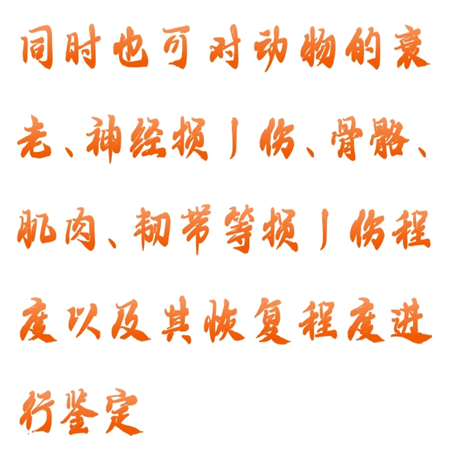 金年会-金年会体育-金年会体育下载app
金年会-金年会体育-金年会体育下载app