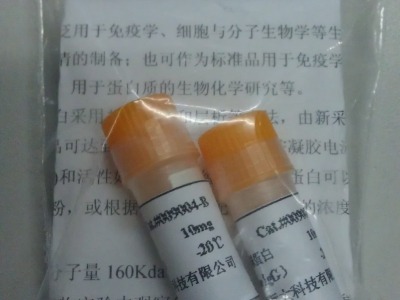 牛免疫球蛋白G(IgG)标准品