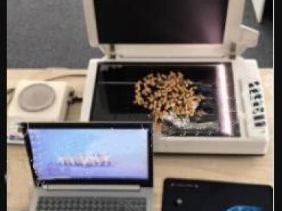考种分析系统/玉米考种分析系统