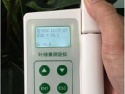 叶绿素测定仪