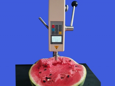 果实硬度计/水果硬度计/果品硬度计