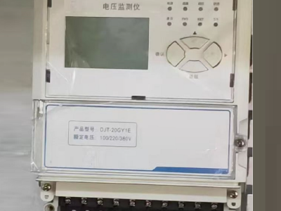 电压监测仪--挂式型号:YY12-DJT-20GY1E库号：M399292