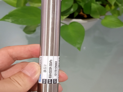 振弦式渗压计BGK-4500SR型号:fm26-BGK4500SR-0.35MPa库号：M273371