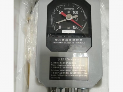 变压器油面温控器型号WZX/BWY-804A(TH)库号M414996